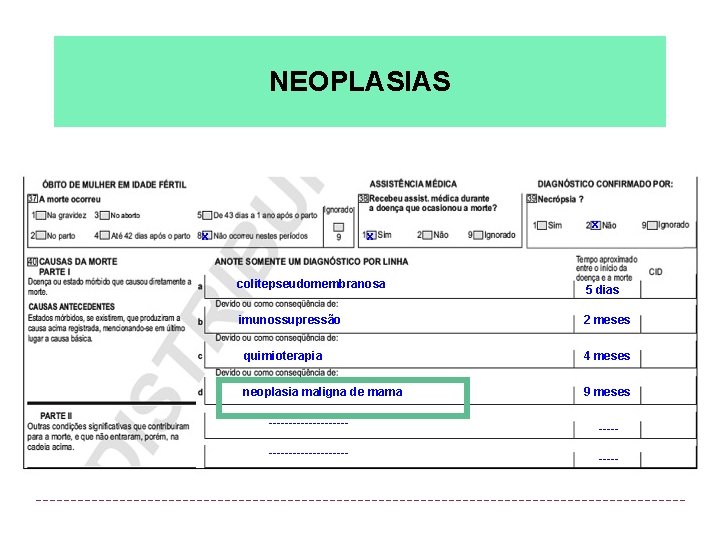 NEOPLASIAS x x x colitepseudomembranosa 5 dias imunossupressão 2 meses quimioterapia 4 meses neoplasia