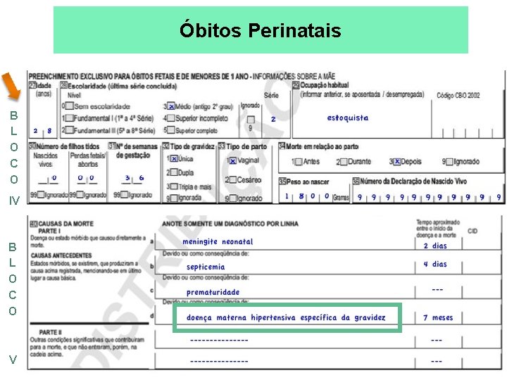 Óbitos Perinatais B L O C O IV B L O C O V