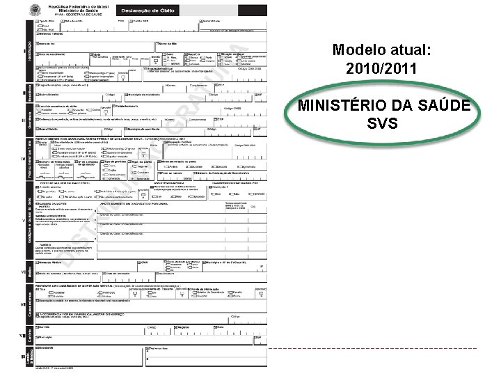 Modelo atual: 2010/2011 MINISTÉRIO DA SAÚDE SVS 