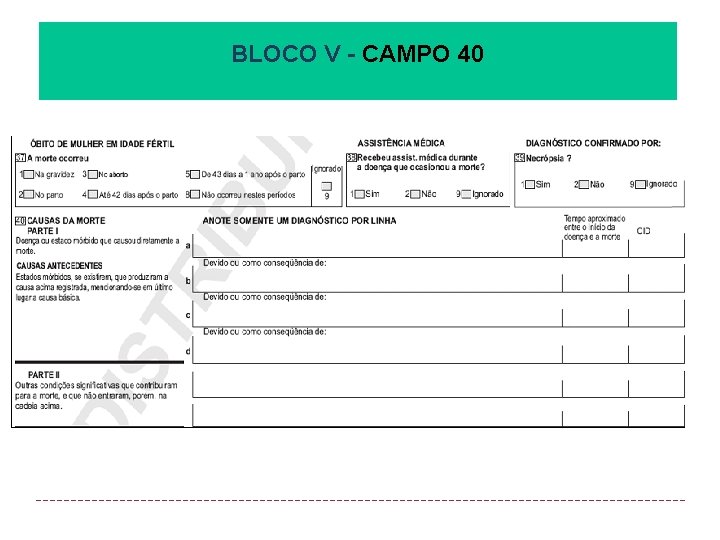 BLOCO V - CAMPO 40 