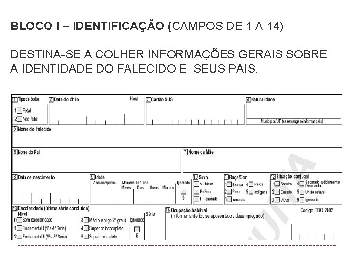 BLOCO I – IDENTIFICAÇÃO (CAMPOS DE 1 A 14) DESTINA-SE A COLHER INFORMAÇÕES GERAIS