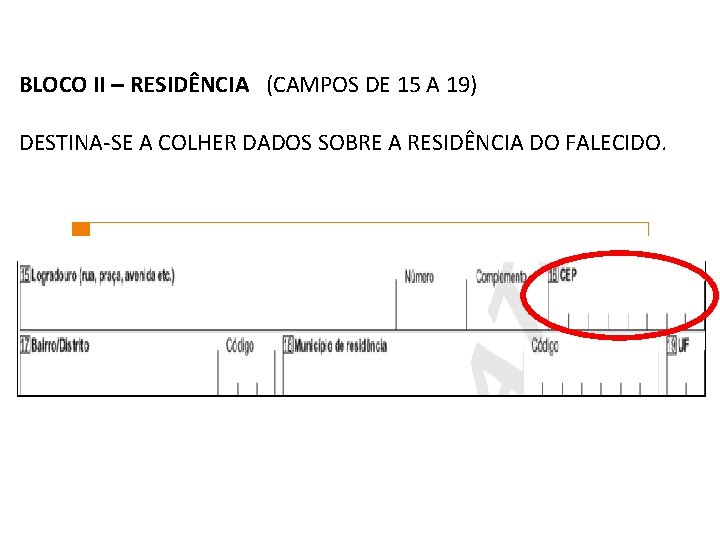 BLOCO II – RESIDÊNCIA (CAMPOS DE 15 A 19) DESTINA-SE A COLHER DADOS SOBRE