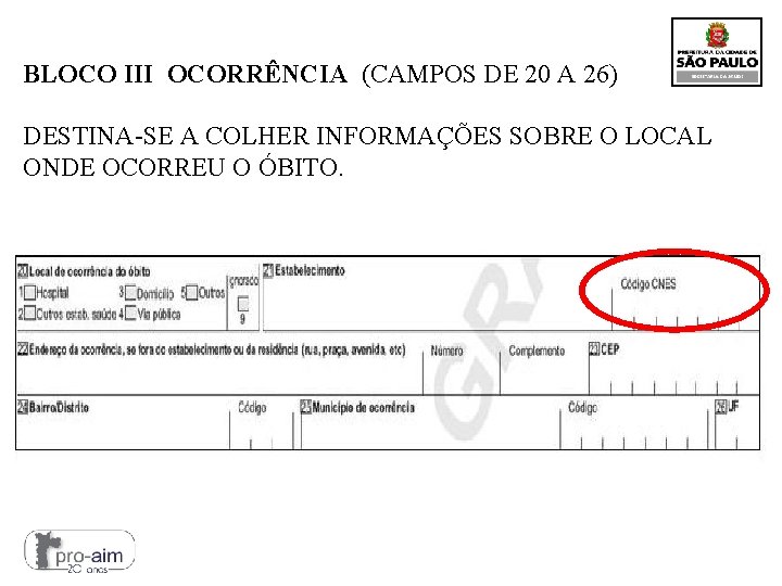 BLOCO III OCORRÊNCIA (CAMPOS DE 20 A 26) DESTINA-SE A COLHER INFORMAÇÕES SOBRE O