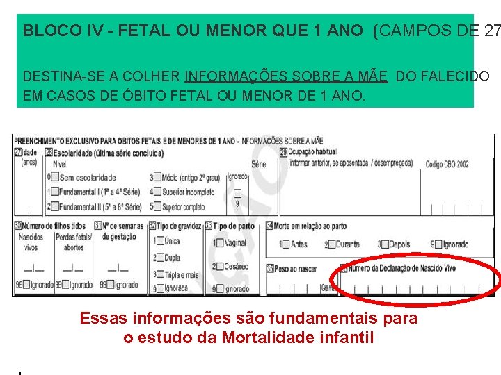 BLOCO IV - FETAL OU MENOR QUE 1 ANO (CAMPOS DE 27 DESTINA-SE A