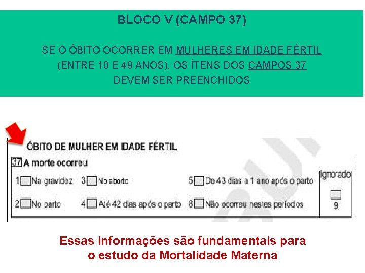 BLOCO V (CAMPO 37) SE O ÓBITO OCORRER EM MULHERES EM IDADE FÉRTIL (ENTRE