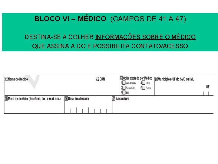 BLOCO VI – MÉDICO (CAMPOS DE 41 A 47) DESTINA-SE A COLHER INFORMAÇÕES SOBRE