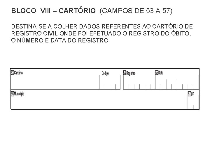 BLOCO VIII – CARTÓRIO (CAMPOS DE 53 A 57) DESTINA-SE A COLHER DADOS REFERENTES
