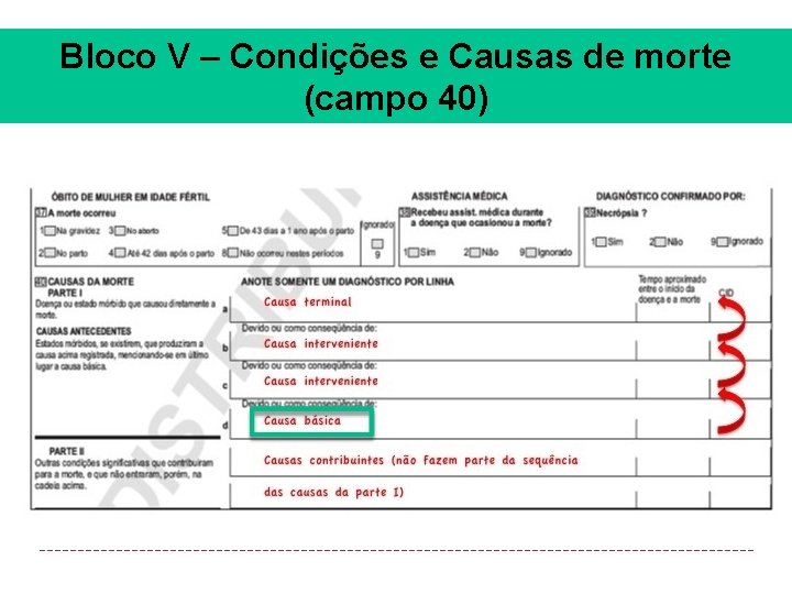 Bloco V – Condições e Causas de morte (campo 40) 