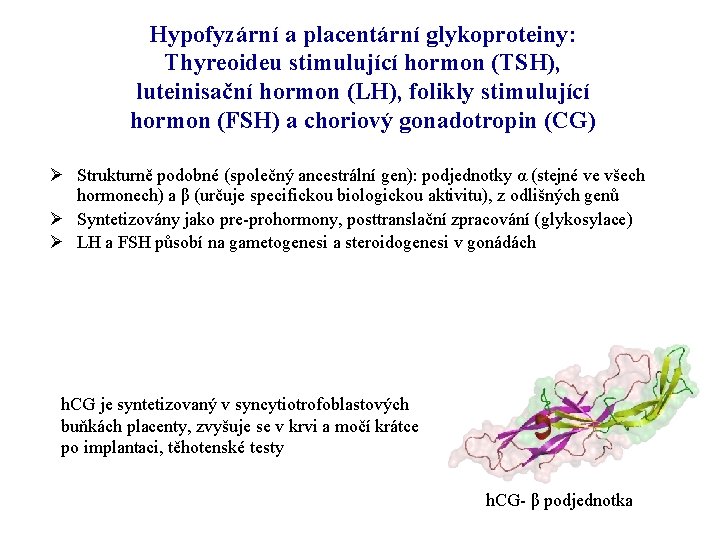 Hypofyzární a placentární glykoproteiny: Thyreoideu stimulující hormon (TSH), luteinisační hormon (LH), folikly stimulující hormon