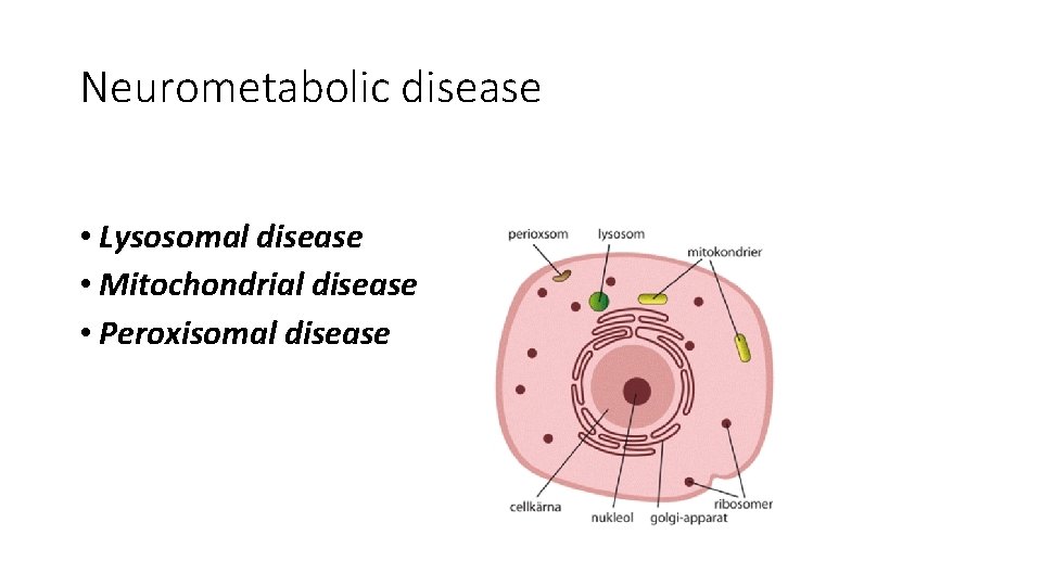 Neurometabolic disease • Lysosomal disease • Mitochondrial disease • Peroxisomal disease 
