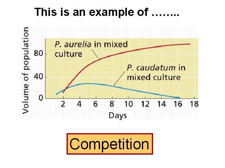 This is an example of ……. . Competition  This is an example of ……. . Competition