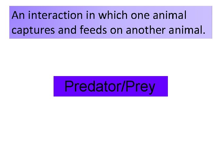An interaction in which one animal captures and feeds on another animal. Predator/Prey  An interaction in which one animal captures and feeds on another animal. Predator/Prey