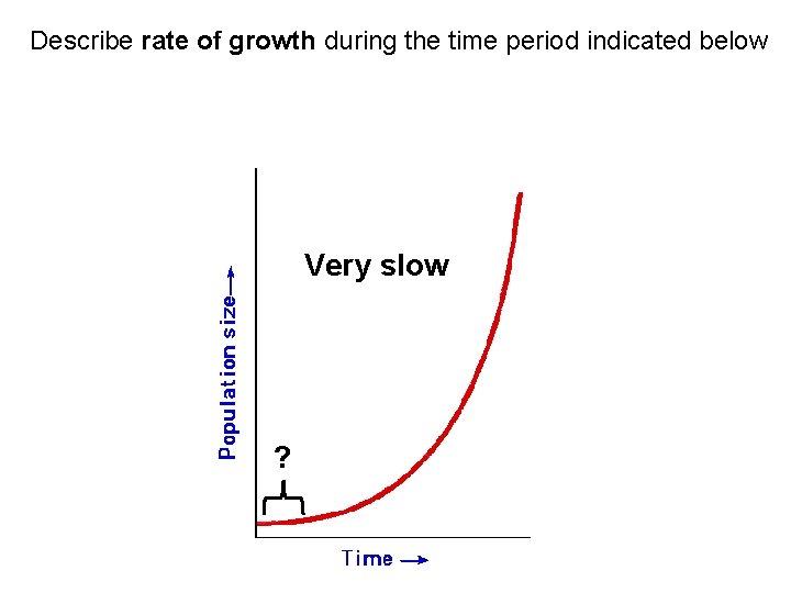 Describe rate of growth during the time period indicated below Very slow ?  Describe rate of growth during the time period indicated below Very slow ?