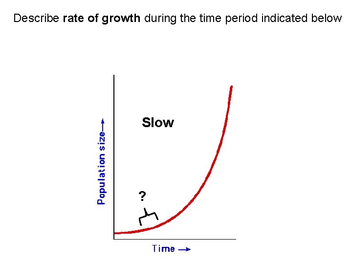 Describe rate of growth during the time period indicated below Slow ?  Describe rate of growth during the time period indicated below Slow ?