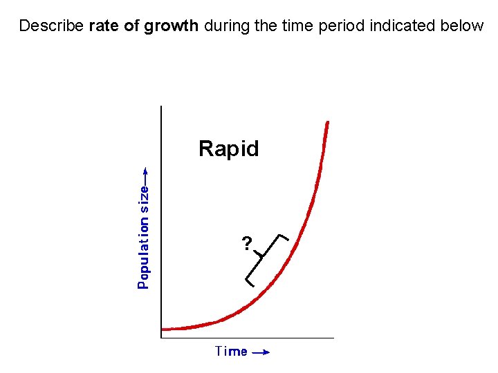 Describe rate of growth during the time period indicated below Rapid ?  Describe rate of growth during the time period indicated below Rapid ?