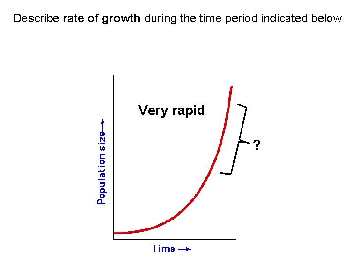 Describe rate of growth during the time period indicated below Very rapid ?  Describe rate of growth during the time period indicated below Very rapid ?