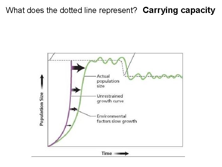 What does the dotted line represent? Carrying capacity  What does the dotted line represent? Carrying capacity