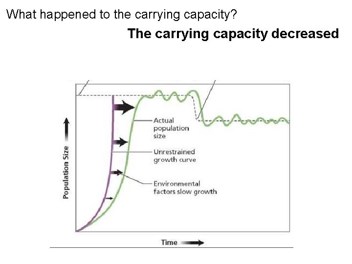 What happened to the carrying capacity? The carrying capacity decreased Carrying capacity  What happened to the carrying capacity? The carrying capacity decreased Carrying capacity