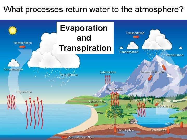 What processes return water to the atmosphere? Evaporation and Transpiration  What processes return water to the atmosphere? Evaporation and Transpiration