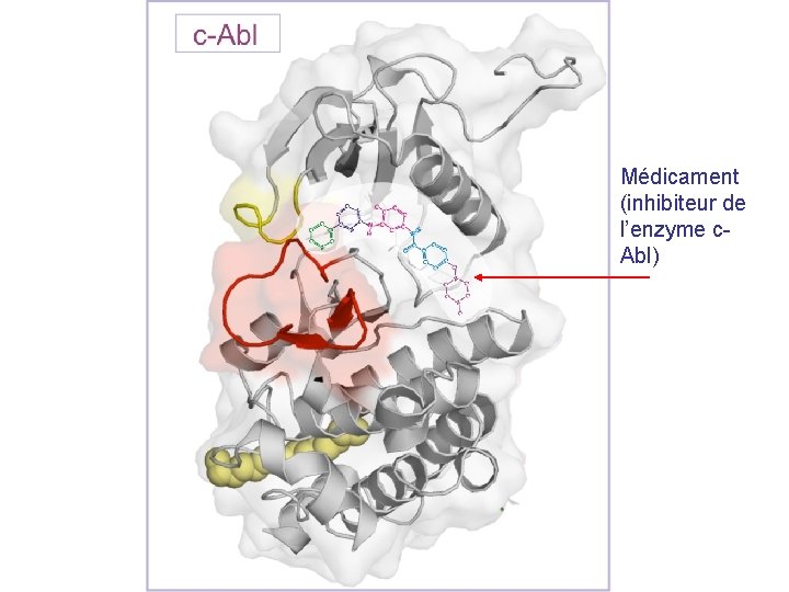 Médicament (inhibiteur de l’enzyme c. Abl) 