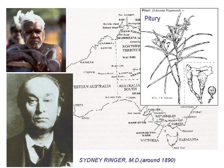 Pitury SYDNEY RINGER, M. D. (around 1890) 