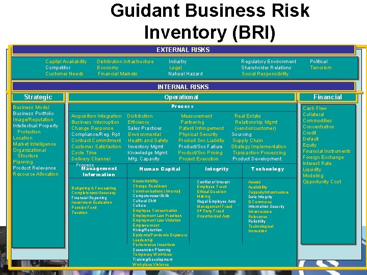 Guidant Business Risk Inventory (BRI) EXTERNAL RISKS Capital Availability Competitor Customer Needs Distribution Infrastructure