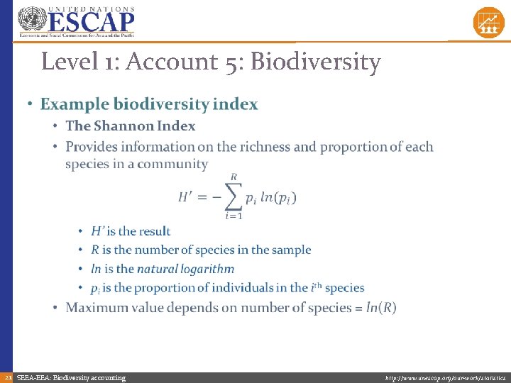 Level 1: Account 5: Biodiversity • 21 SEEA-EEA: Biodiversity accounting http: //www. unescap. org/our-work/statistics