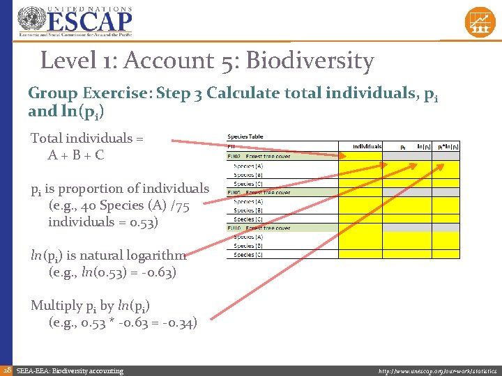 Level 1: Account 5: Biodiversity Group Exercise: Step 3 Calculate total individuals, pi and