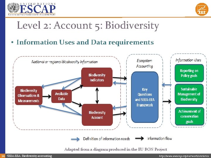 Level 2: Account 5: Biodiversity • Information Uses and Data requirements Adapted from a