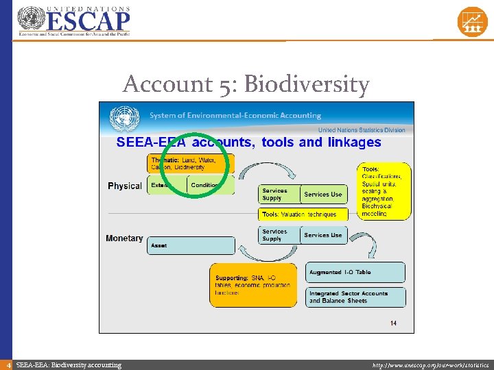 Account 5: Biodiversity 4 SEEA-EEA: Biodiversity accounting http: //www. unescap. org/our-work/statistics 