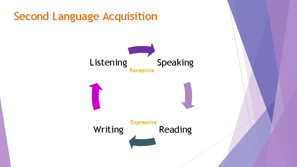 Second Language Acquisition Listening Writing Receptive Expressive Speaking Reading 