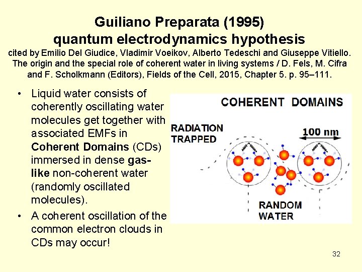 Guiliano Preparata (1995) quantum electrodynamics hypothesis cited by Emilio Del Giudice, Vladimir Voeikov, Alberto