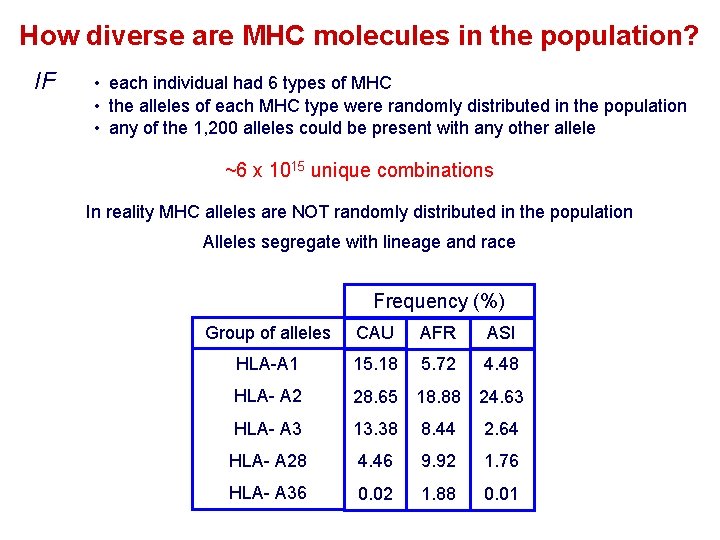 How diverse are MHC molecules in the population? IF • each individual had 6