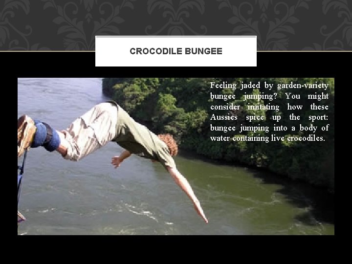 CROCODILE BUNGEE Feeling jaded by garden-variety bungee jumping? You might consider imitating how these