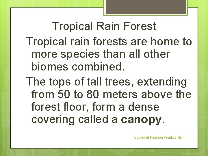 Tropical Rain Forest Tropical rain forests are home to more species than all other