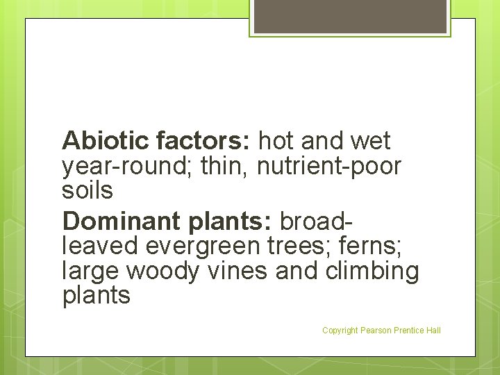 Abiotic factors: hot and wet year-round; thin, nutrient-poor soils Dominant plants: broadleaved evergreen trees;