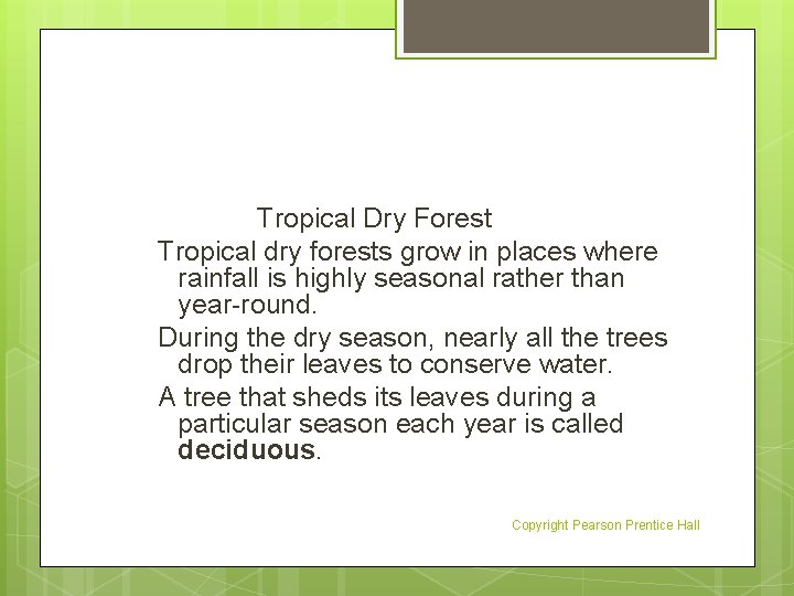 Tropical Dry Forest Tropical dry forests grow in places where rainfall is highly seasonal
