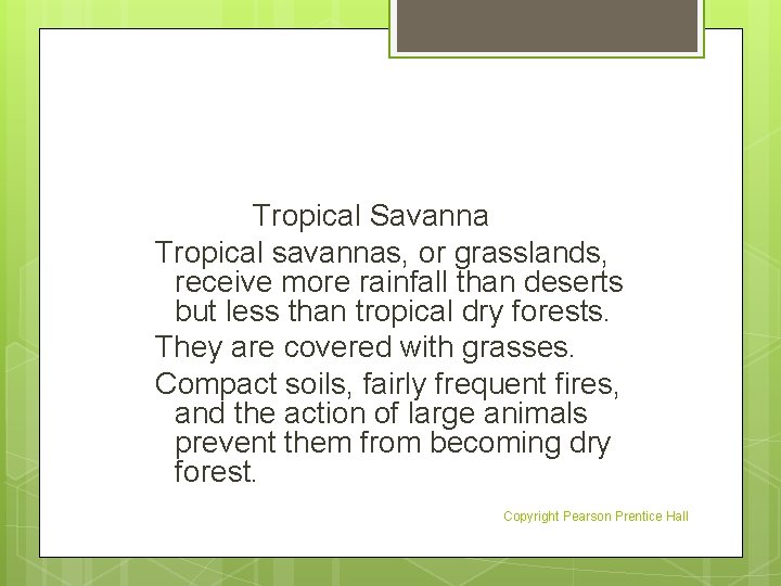 Tropical Savanna Tropical savannas, or grasslands, receive more rainfall than deserts but less than