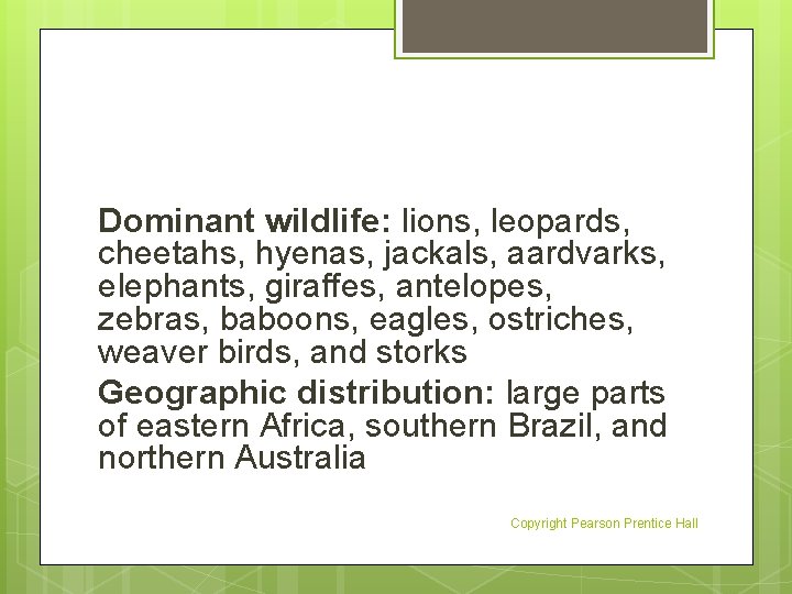 Dominant wildlife: lions, leopards, cheetahs, hyenas, jackals, aardvarks, elephants, giraffes, antelopes, zebras, baboons, eagles,