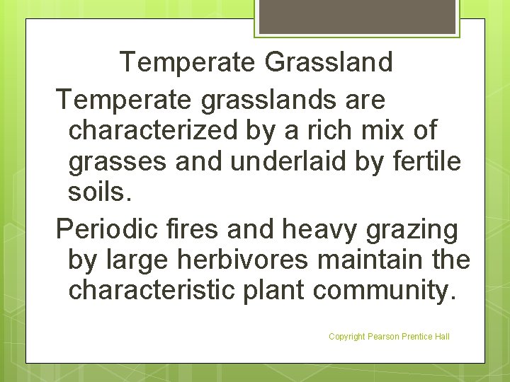 Temperate Grassland Temperate grasslands are characterized by a rich mix of grasses and underlaid