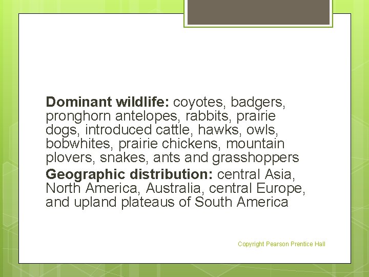 Dominant wildlife: coyotes, badgers, pronghorn antelopes, rabbits, prairie dogs, introduced cattle, hawks, owls, bobwhites,