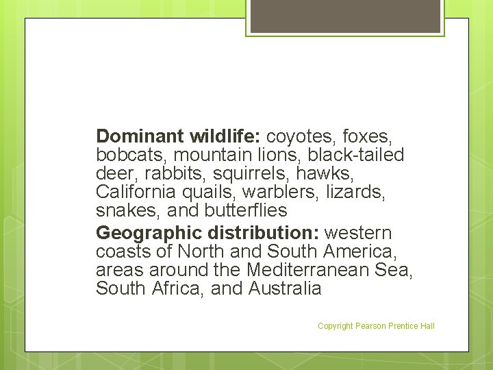 Dominant wildlife: coyotes, foxes, bobcats, mountain lions, black-tailed deer, rabbits, squirrels, hawks, California quails,