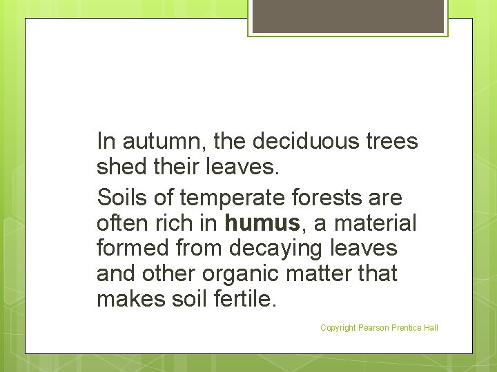 In autumn, the deciduous trees shed their leaves. Soils of temperate forests are often