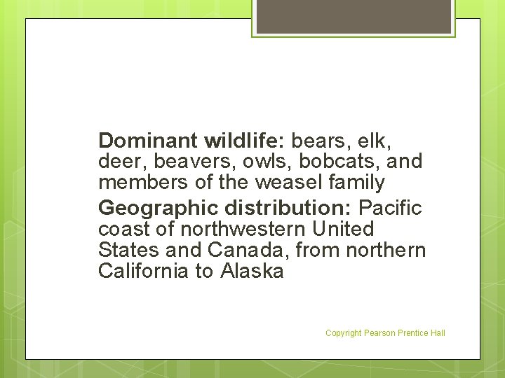 Dominant wildlife: bears, elk, deer, beavers, owls, bobcats, and members of the weasel family