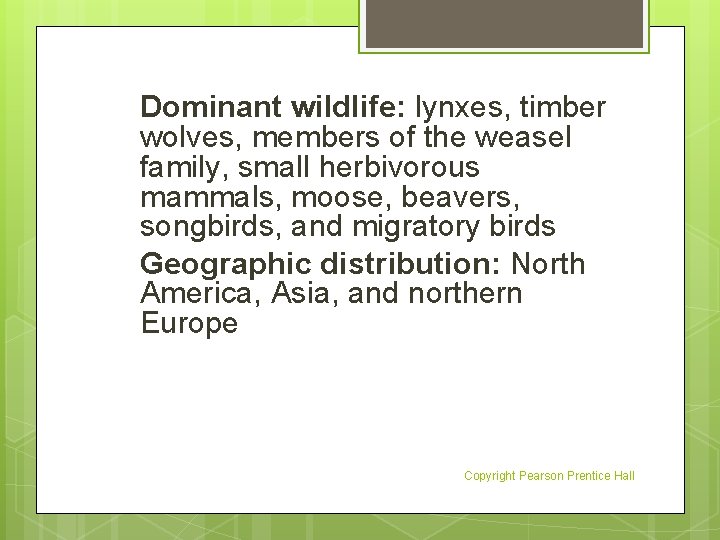 Dominant wildlife: lynxes, timber wolves, members of the weasel family, small herbivorous mammals, moose,