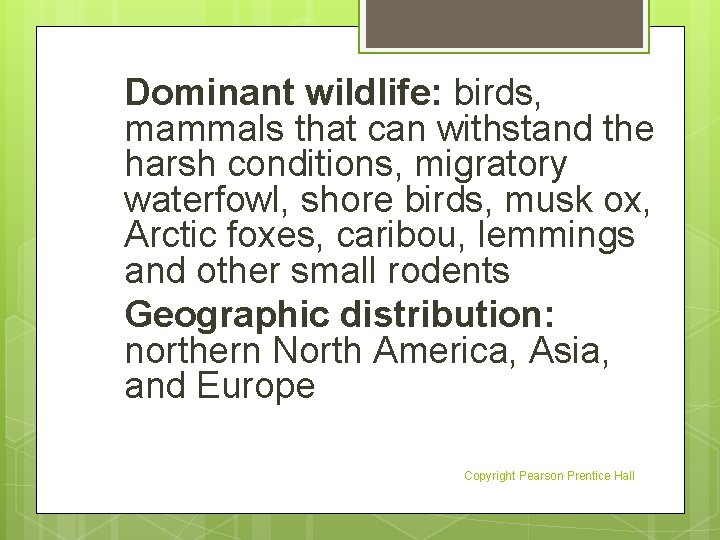 Dominant wildlife: birds, mammals that can withstand the harsh conditions, migratory waterfowl, shore birds,
