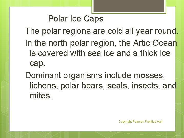 Polar Ice Caps The polar regions are cold all year round. In the north