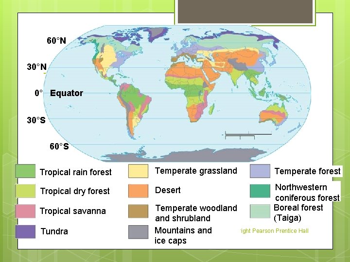 60°N 30°N The Major Biomes 0° Equator 30°S 60°S Tropical rain forest Temperate grassland