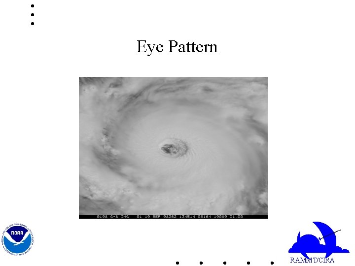 Eye Pattern RAMMT/CIRA 