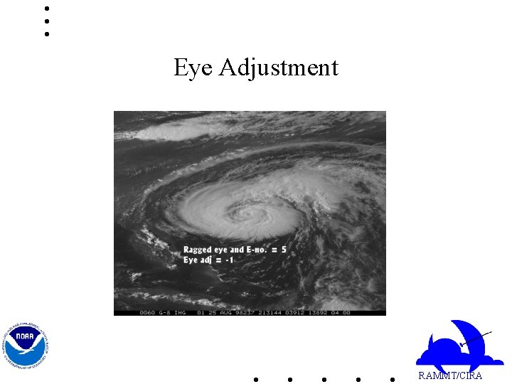 Eye Adjustment RAMMT/CIRA 